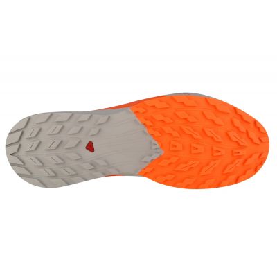 4. Buty do biegania Salomon Sense Ride 5 M 470462
