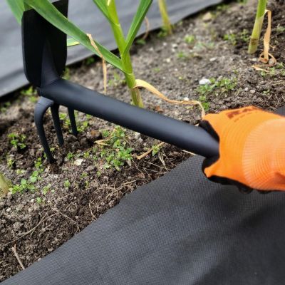 20. MOTYCZKO- GRABKI OGRODOWE