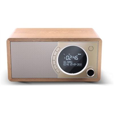 6. Radio cyfrowe Sharp DR-450(BR) z technologią Bluetooth