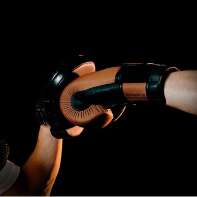 14. Rękawice bokserskie wielowarstwowe ze skóry - SOVEREIGN - Legacy Series | DBX Bushido