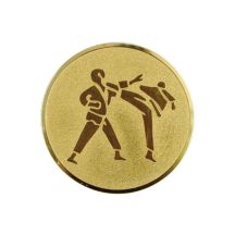 Wklejka aluminiowa - karate