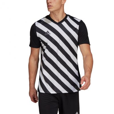 6. Koszulka adidas Entrada 22 Graphic Jersey M HF0126