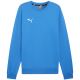 2. Bluza Puma Team Goal Casuals Crew Neck Sweat M 658592 02