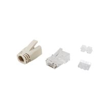 Equip 121176 wtyczka RJ-45 Przezroczysty, Biały