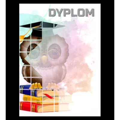 9. Dyplom papierowy - sowa (25 szt.) DYP157