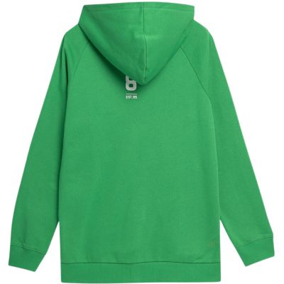 16. Bluza 4F M 4FSS23TSWSM236 41S