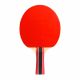 15. Rakietka do ping ponga Cornilleau Sport 433000