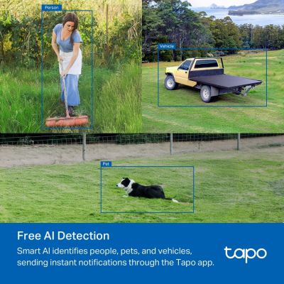 32. Kamera TP-LINK Tapo C501GW