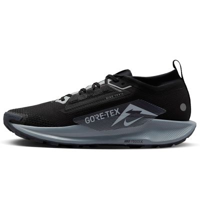 2. Buty Nike Pegasus Trail 5 Gore-Tex FQ0908-001