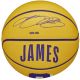 4. Piłka Wilson NBA Player Icon Stephen Curry Mini Ball WZ4007401XB