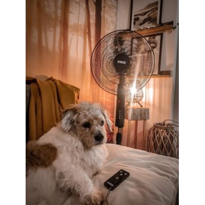 5. Wentylator stojący NOVEEN F455 Pilot