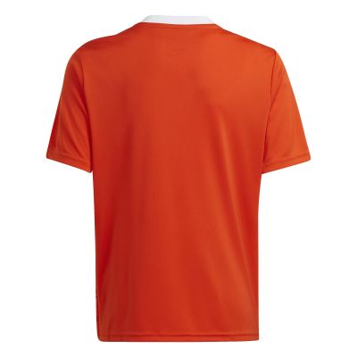 2. Koszulka adidas Team Icon 23 Jr IC1254