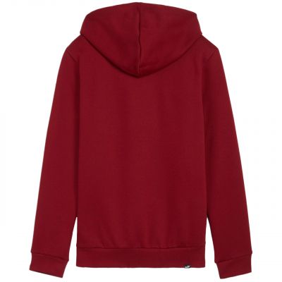 2. Bluza Puma Ess+ Logo LAB Hoodie FL W 682987 13
