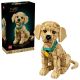 LEGO 11384 Icons - Szczeniak golden retriever
