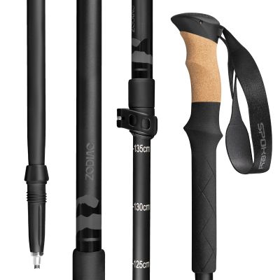 5. Kije trekkingowe Spokey Zodiac 105-135 cm trzysegmentowe SPK-944817