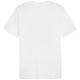 4. Koszulka Puma Graphics Summer Sports Tee II M 627909 02