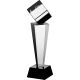 8. Trofeum szklane grawerowane z etui