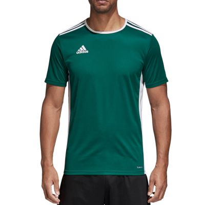 3. Koszulka adidas Entrada 18 Jr CD8358
