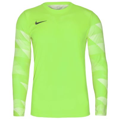 2. Koszulka Nike Dry Park IV M CJ6066-702