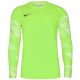 2. Koszulka Nike Dry Park IV M CJ6066-702