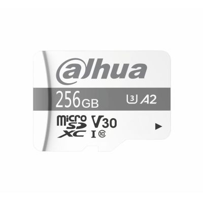 2. Karta pamięci SD Dahua TF-P100 256GB MicroSD UHS-I Klasa 10 (1.0.99.80.10039)