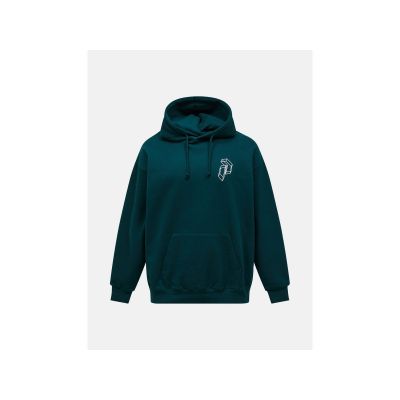Bluza męska PEAK PERFORMANCE M Terry Graphic Hood kolor zielony