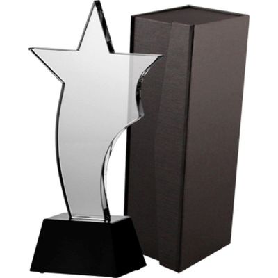5. Trofeum szklane z etui