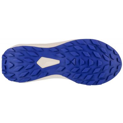 4. Buty do biegania Salomon Alphaglide W L47801800