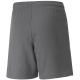 6. Spodenki Puma teamLIGA Shorts Jr 704931 13