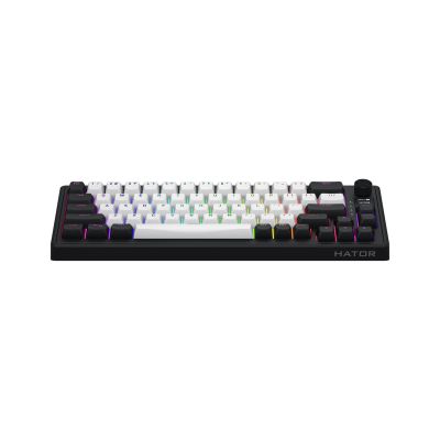 12. HATOR Skyfall 65 MAG ULTIMA 8K wireless klawiatura Gaming USB + RF Wireless + Bluetooth QWERTY US English Czarny, Biały