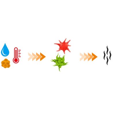 4. Środek czyszczący - odświeżacz do sprzętu sportowego | DBX Cleaner (200ml)