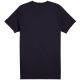 2. Koszulka Puma Sport Graphic Tee M 684617 16