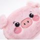 3. Dziecięcy Portfel PIG WALLET