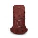 Plecak trekkingowy Osprey Aether 65 10006678/289/S/M