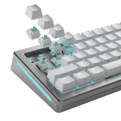 6. Glorious Gaming GLO-KB-ACC-SWT-LYNX-LUBED-36 bez kategorii