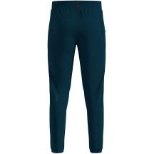 Spodnie przeciwwiatrowe męskie Odlo ZEROWEIGHT PRO WINDPROOF WARM Pants regular length zielone
