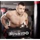 10. SANDBAG BUSHIDO, SAND BAG, CROSSTRAINING, FITNESS 35 KG