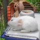 22. FERPLAST Rabbit 120 - klatka dla królika