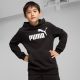 3. Bluza dla dzieci Puma ESS No.1 Logo Hoodie czarna 684909 01