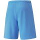 6. Spodenki Puma teamRise Short Team M 704942 18