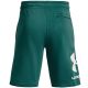 2. Spodenki Under Armour Rival Fleece Big Logo Shorts M 1357118 722