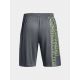 12. Spodenki Under Armour M 1376943-012