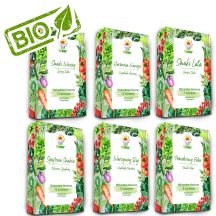 TORAF ZESTAW NASION - SET 1+2+3+4+5+6 2024 TORAF 63X1SZT