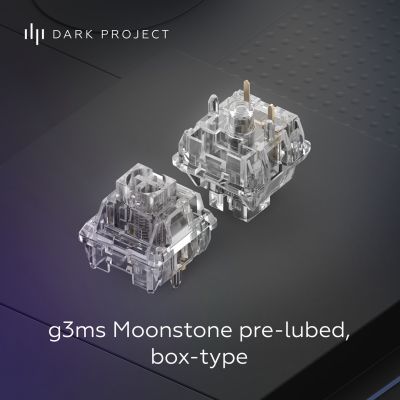 2. Przełącznik Moonstone, USA
