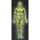 4. SELECT Spodenki Kompresyjne 6407 kinesiological effect