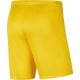 2. Spodenki Nike Dry Park III NB K M BV6855 719
