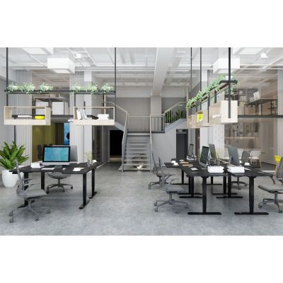 12. Digitus Elektrycznie regulowany stelaż stołu, dwa silniki, 3-stopniowy, kolor czarny