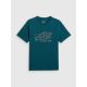 8. T-shirt regular z nadrukiem męski 4F 4FRSS26TTSHM3989-10S