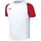 Koszulka dla dzieci Nike Dri-Fit Academy II biało-czerwona HV8168 102