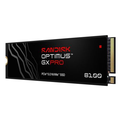 4. SSD Sandisk Optimus GX Pro 8100 2TB SDSP82200TAN